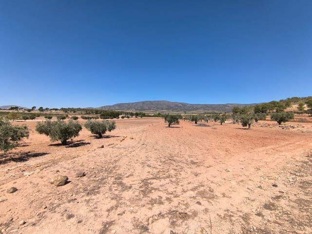 Terreno Non Edificato in vendita in Monóvar / Monóver - 28.990 € (Rif: 9216943)