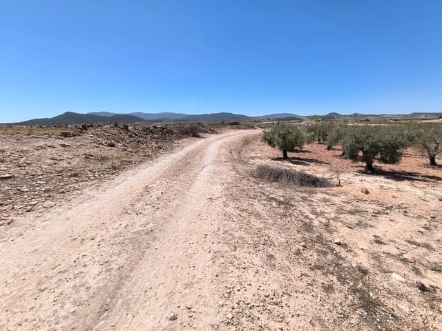 Terreno Non Edificato in vendita in Monóvar / Monóver - 28.990 € (Rif: 9216943)