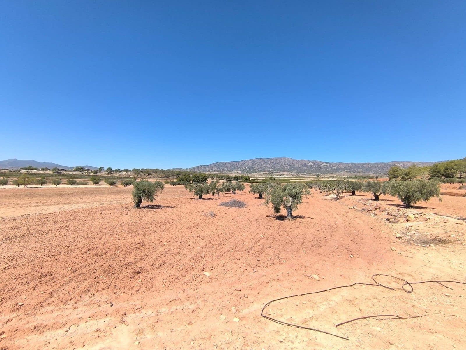 Undeveloped Land for sale in Monovar / Monover - € 28,990 (Ref: 9216943)