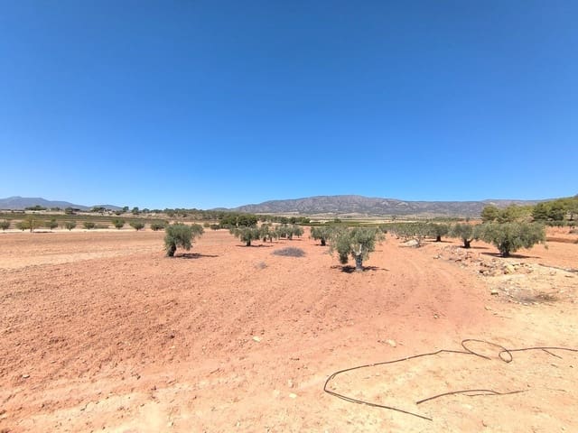 Terre non Aménagée à vendre à Monóvar / Monóver - 28 990 € (Ref: 9216943)