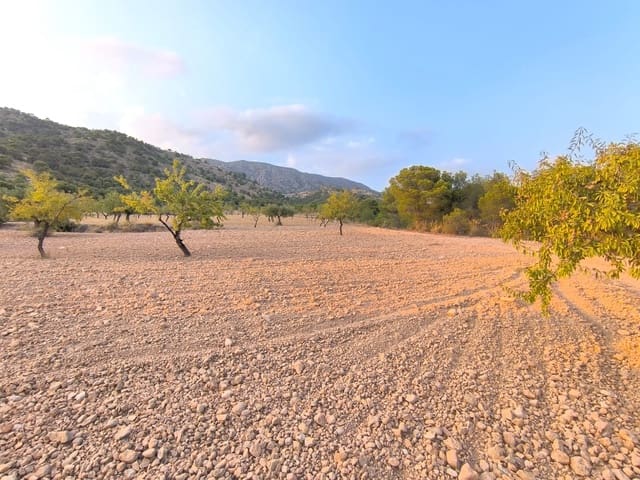 Grunde uden byggetilladelser til salg i Pinoso - € 9.990 (Ref: 9216944)