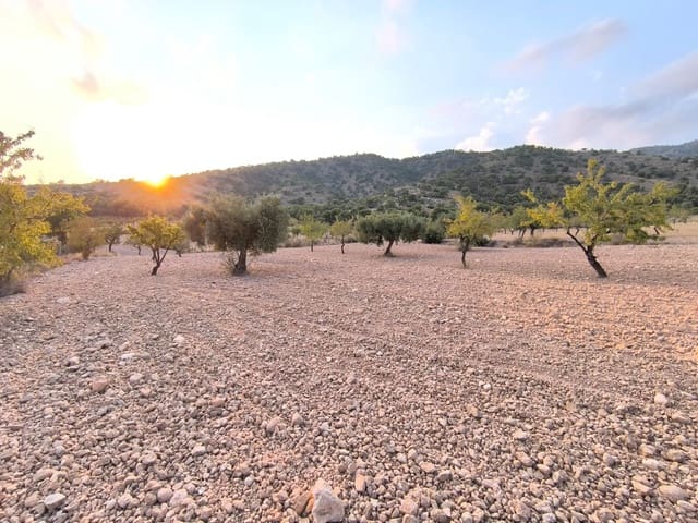 Terreno Não Urbanizado para venda em Pinoso - 9 990 € (Ref: 9216944)