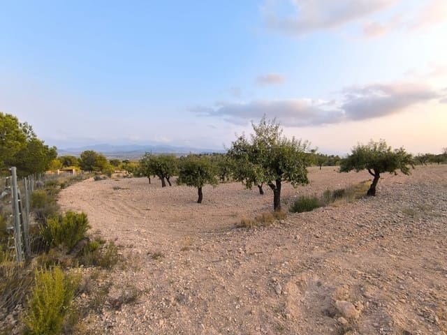 Terreno Não Urbanizado para venda em Pinoso - 9 990 € (Ref: 9216944)