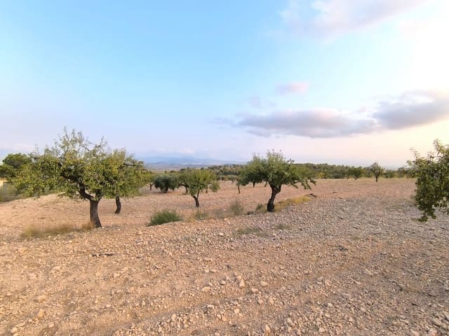 Terreno Não Urbanizado para venda em Pinoso - 9 990 € (Ref: 9216944)