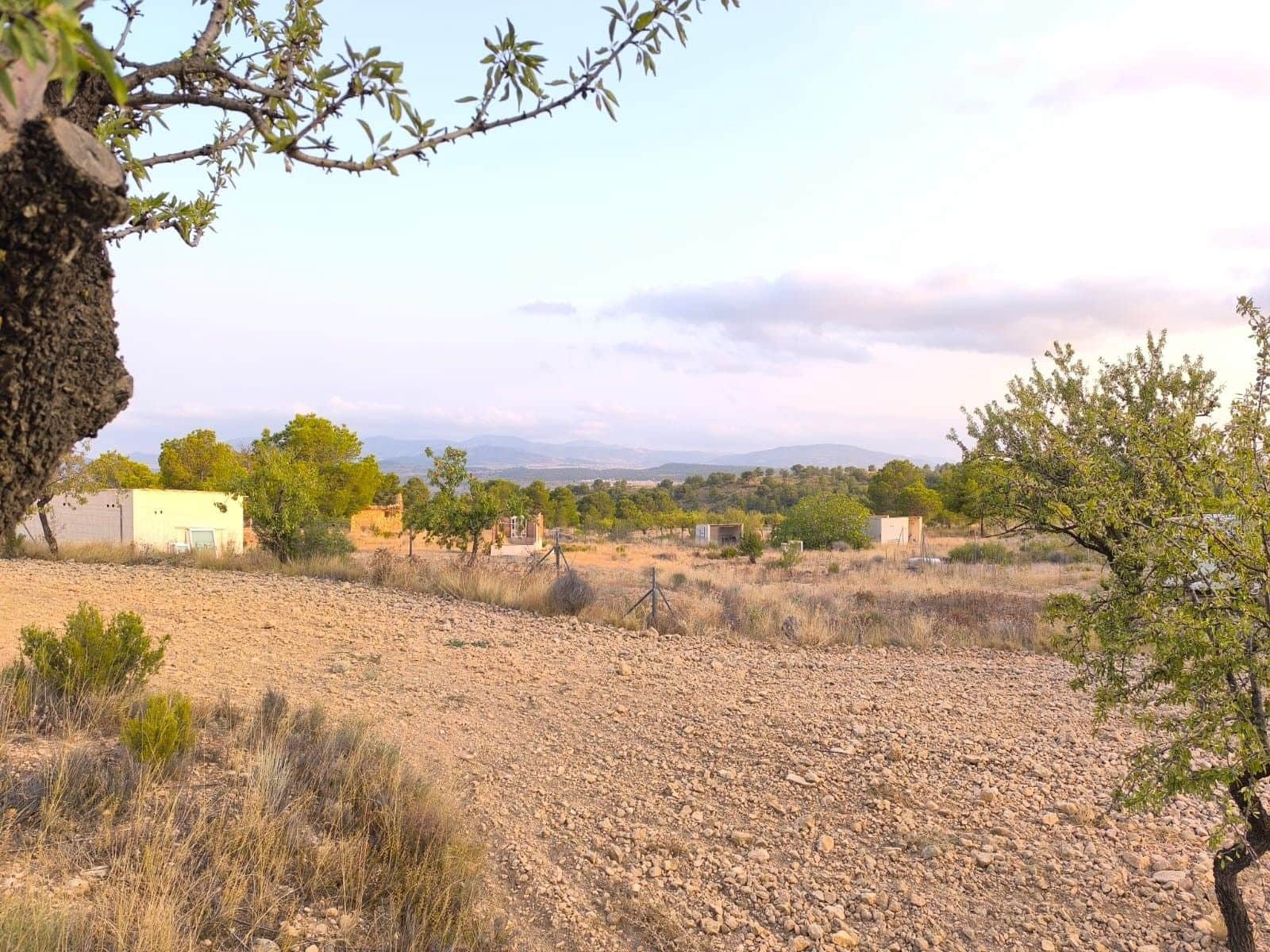 Undeveloped Land for sale in Pinoso - € 9,990 (Ref: 9216944)