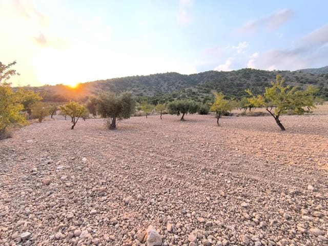 Mark till salu i Pinoso - 9 990 € (Ref: 9216944)