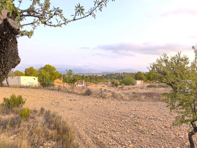 Mark till salu i Pinoso - 9 990 € (Ref: 9216944)