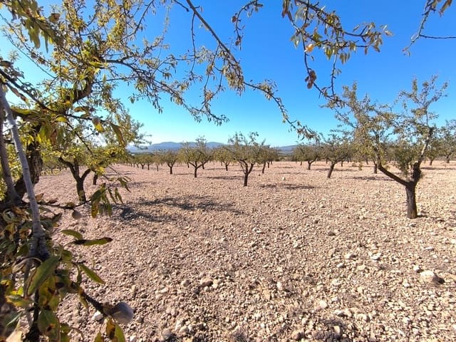 Grond te koop in Monóvar / Monóver - € 55.000 (Ref: 9219617)