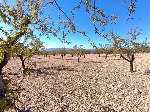 Grond te koop in Monóvar / Monóver - € 55.000 (Ref: 9219617)