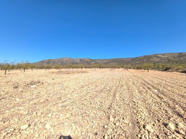 Undeveloped Land for sale in Monóvar / Monóver - € 55,000 (Ref: 9219617)