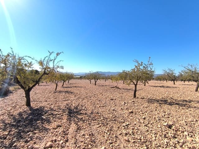 Undeveloped Land for sale in Monóvar / Monóver - € 55,000 (Ref: 9219617)