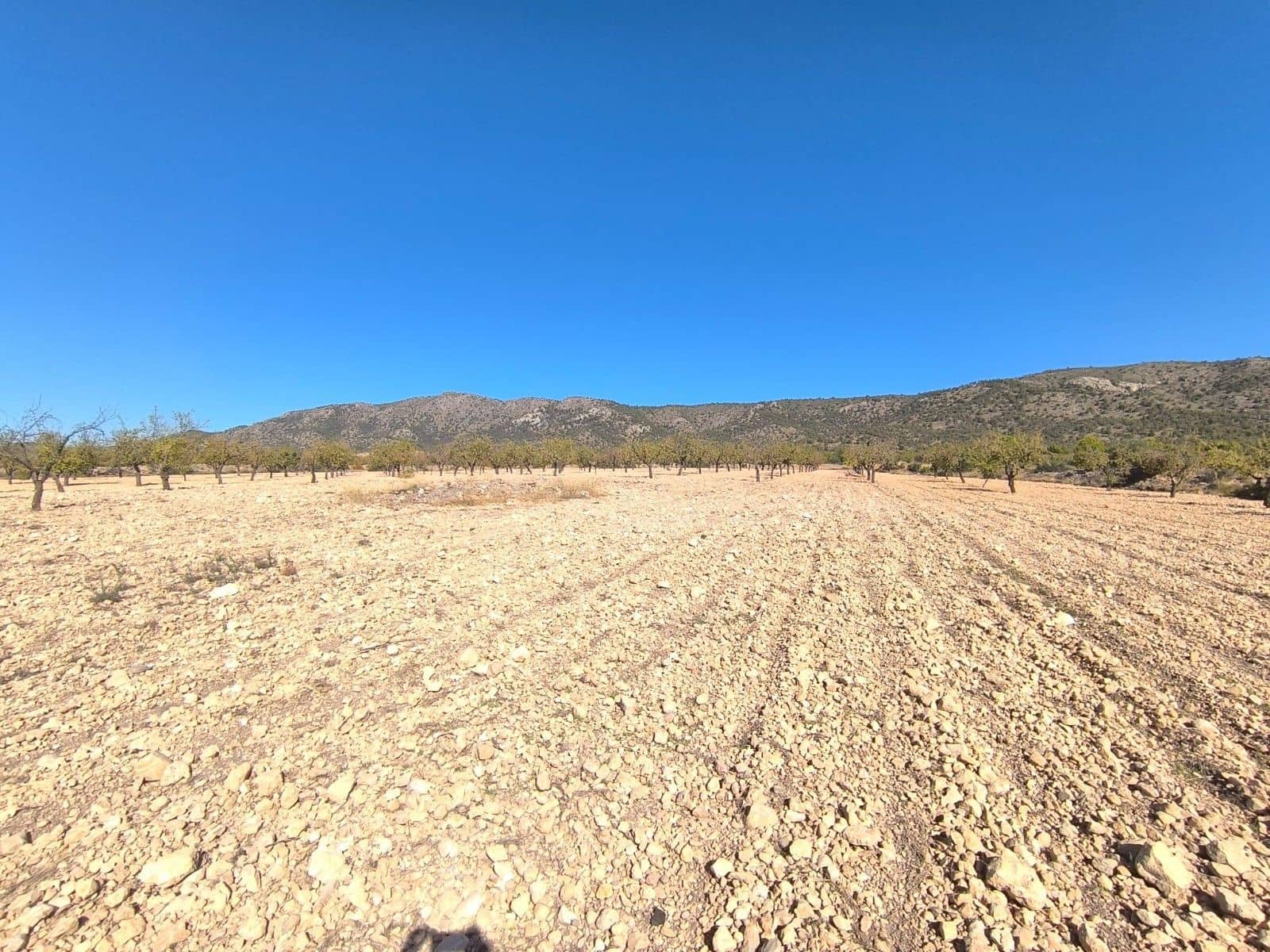 Undeveloped Land for sale in Monovar / Monover - € 55,000 (Ref: 9219617)