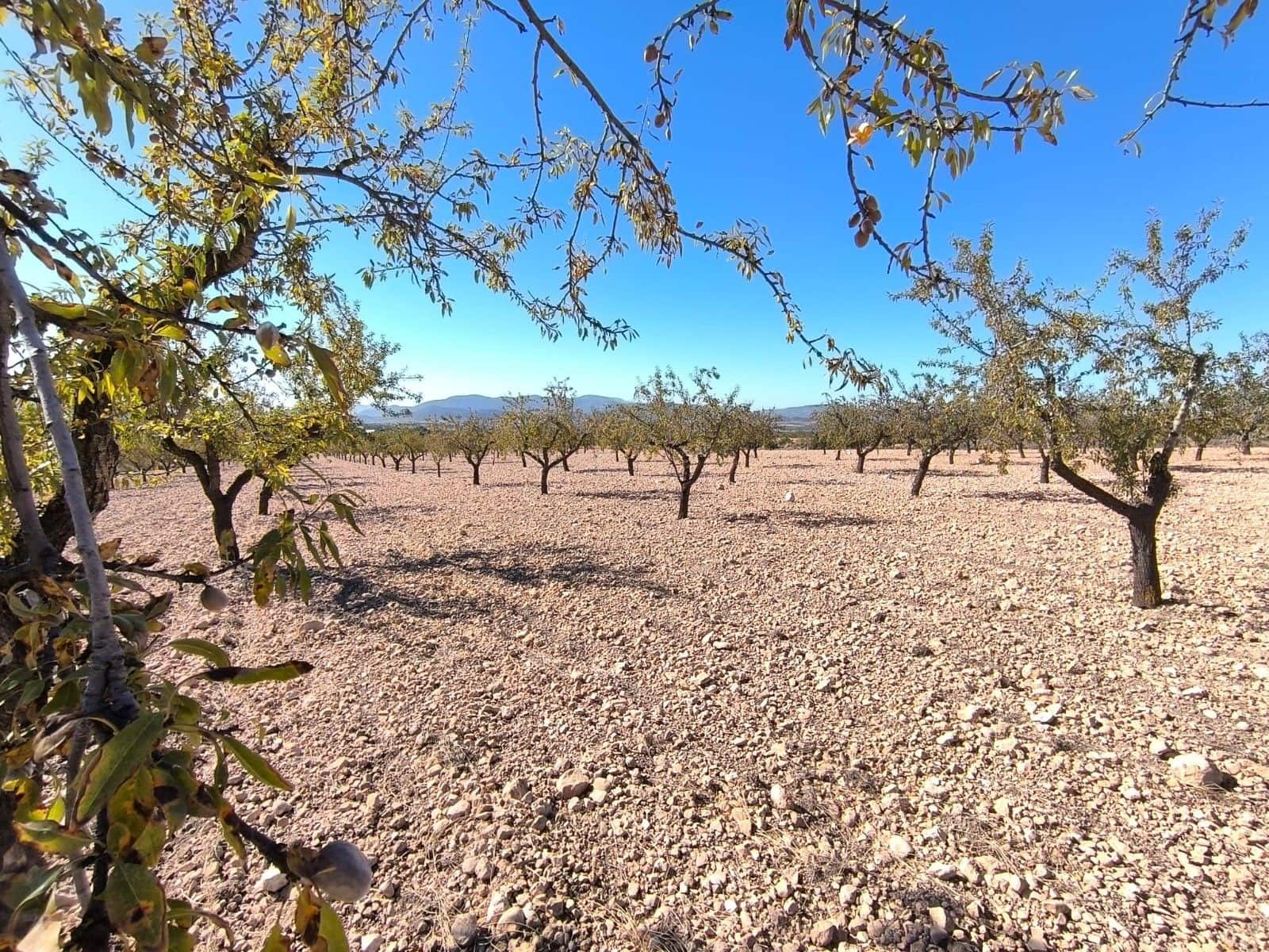 Undeveloped Land for sale in Monovar / Monover - € 55,000 (Ref: 9219617)