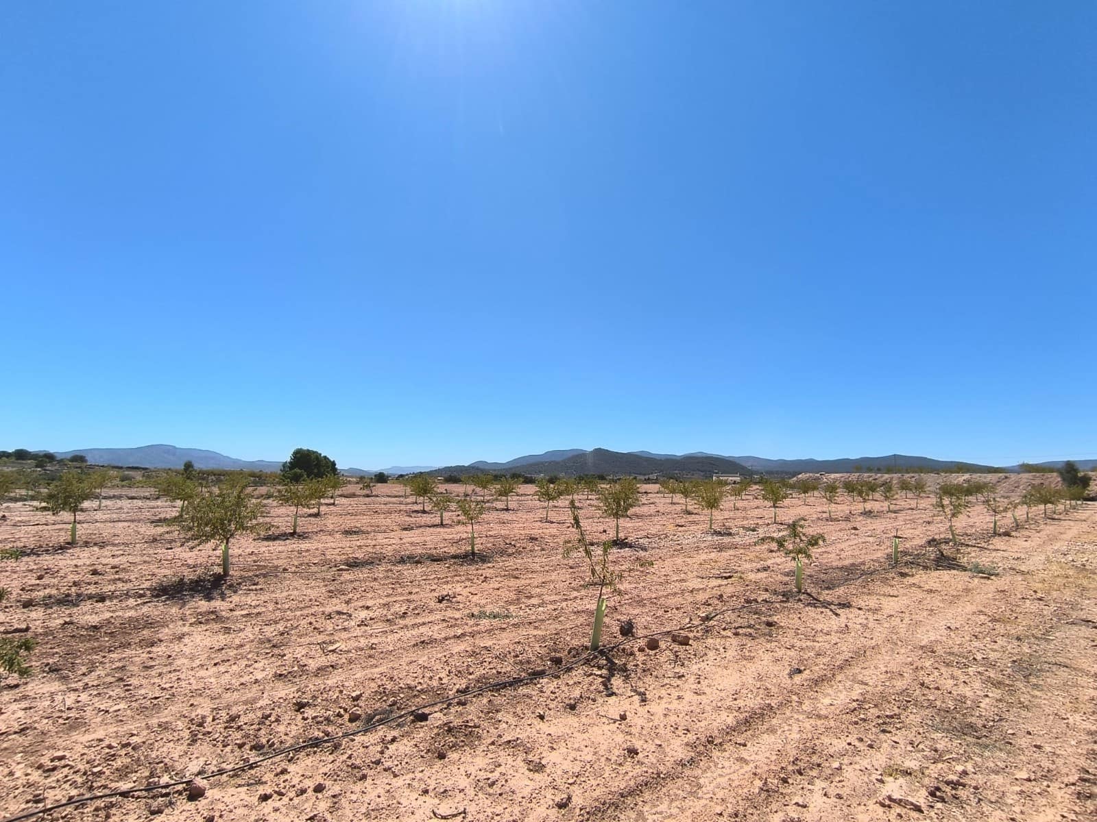 Grond te koop in Monovar / Monover - € 23.990 (Ref: 9226019)