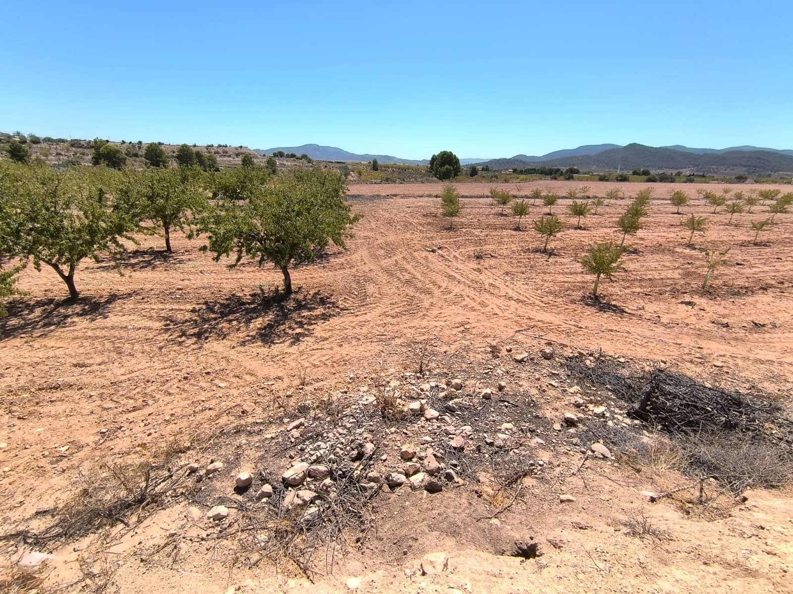 Grond te koop in Monovar / Monover - € 23.990 (Ref: 9226019)