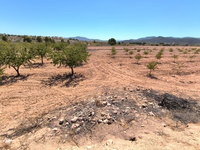 Undeveloped Land for sale in Monóvar / Monóver - € 23,990 (Ref: 9226019)