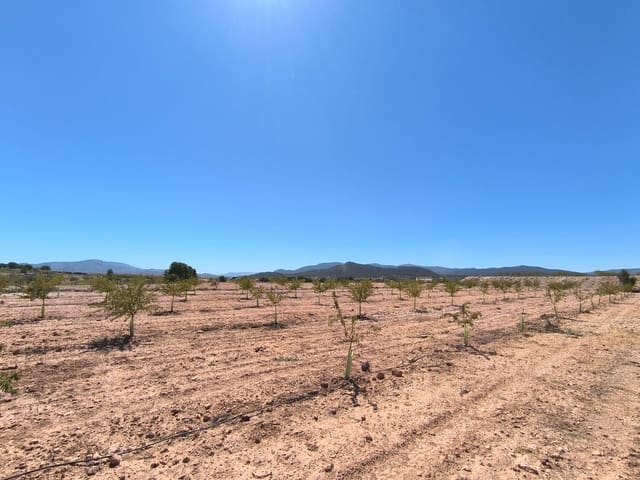 Undeveloped Land for sale in Monóvar / Monóver - € 23,990 (Ref: 9226019)