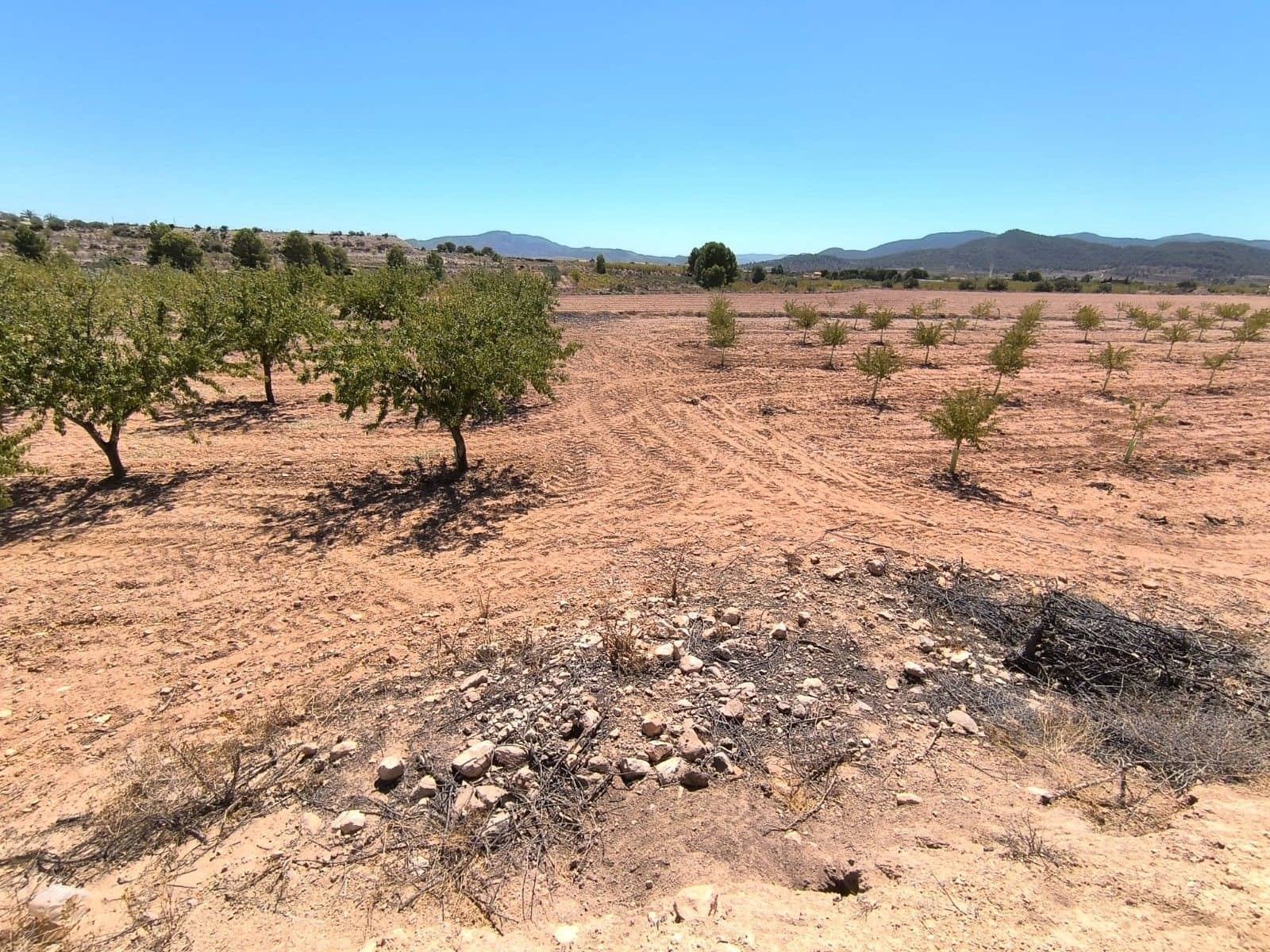 Undeveloped Land for sale in Monovar / Monover - € 23,990 (Ref: 9226019)