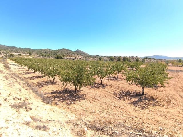 Terre non Aménagée à vendre à Monóvar / Monóver - 23 990 € (Ref: 9226019)