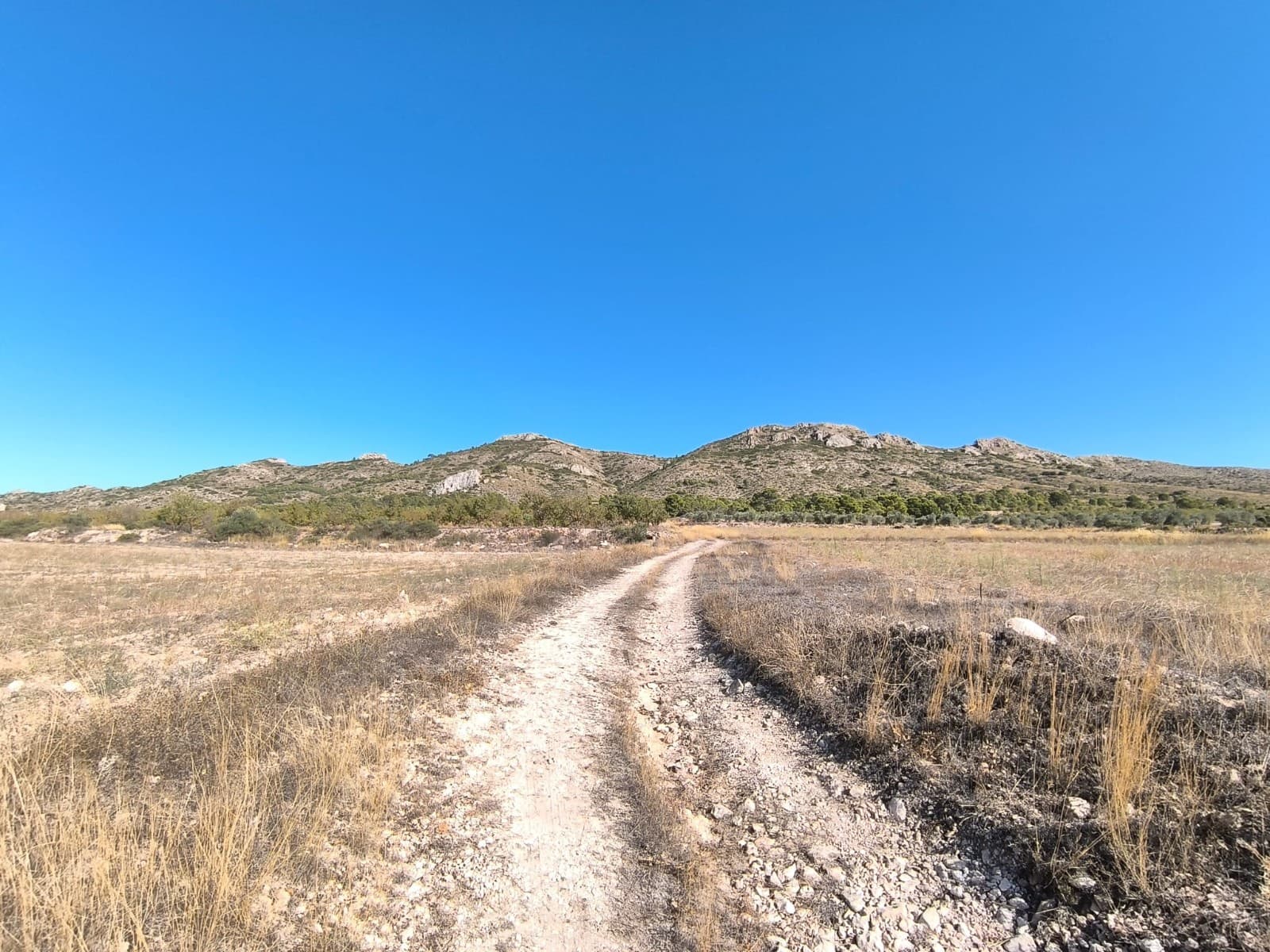 3 chambre Villa/Maison à vendre à Yecla avec piscine garage - 158 000 € (Ref: 9245670)