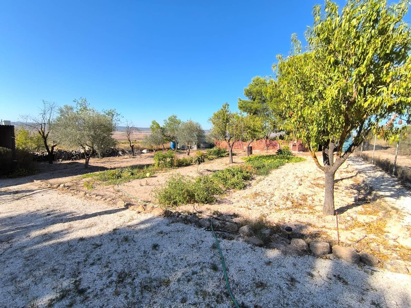 3 chambre Villa/Maison à vendre à Yecla avec piscine garage - 158 000 € (Ref: 9245670)