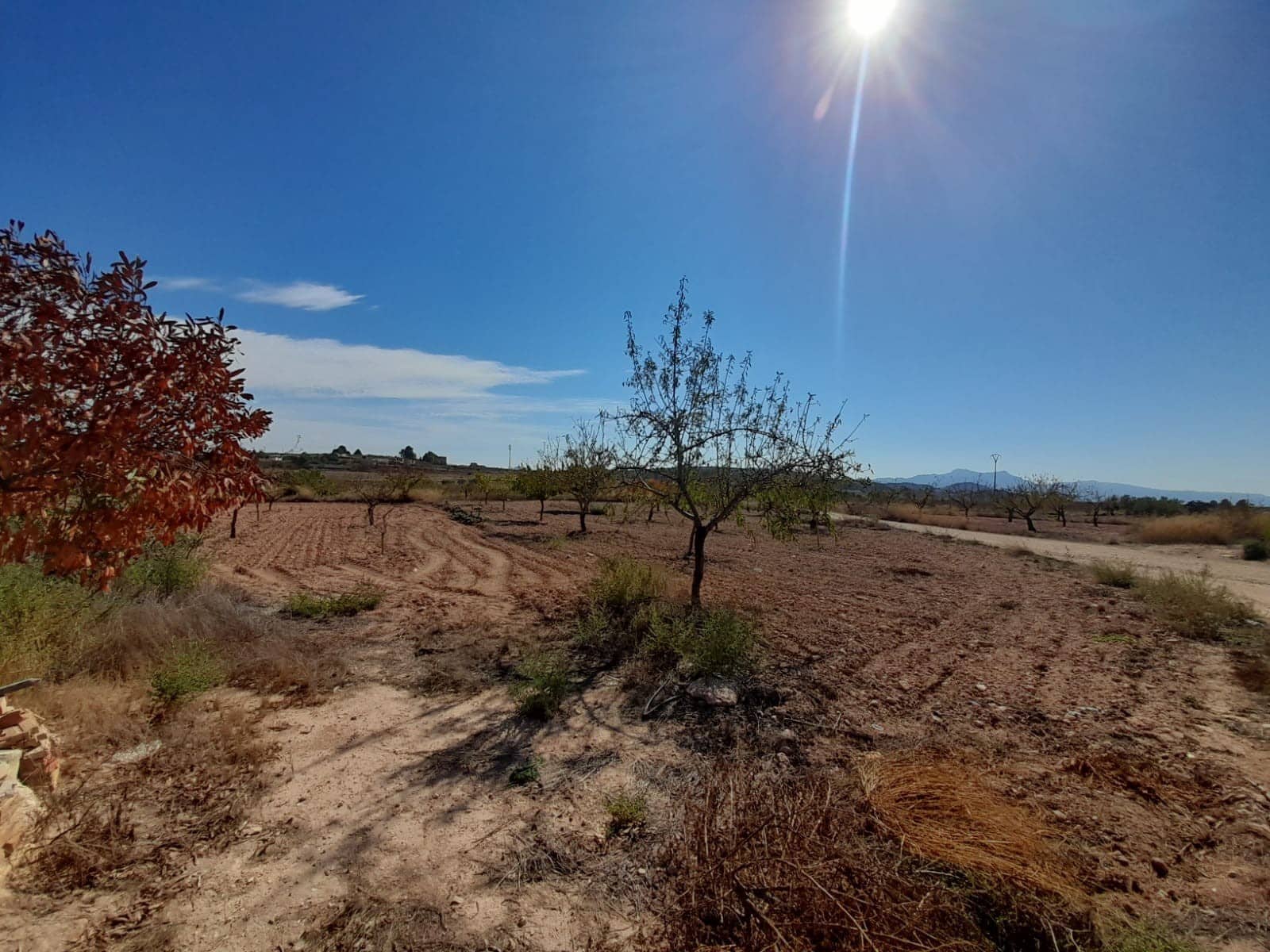 4 soverom Finca/Herregård til salgs i Pinoso med garasje - € 99 995 (Ref: 9263564)