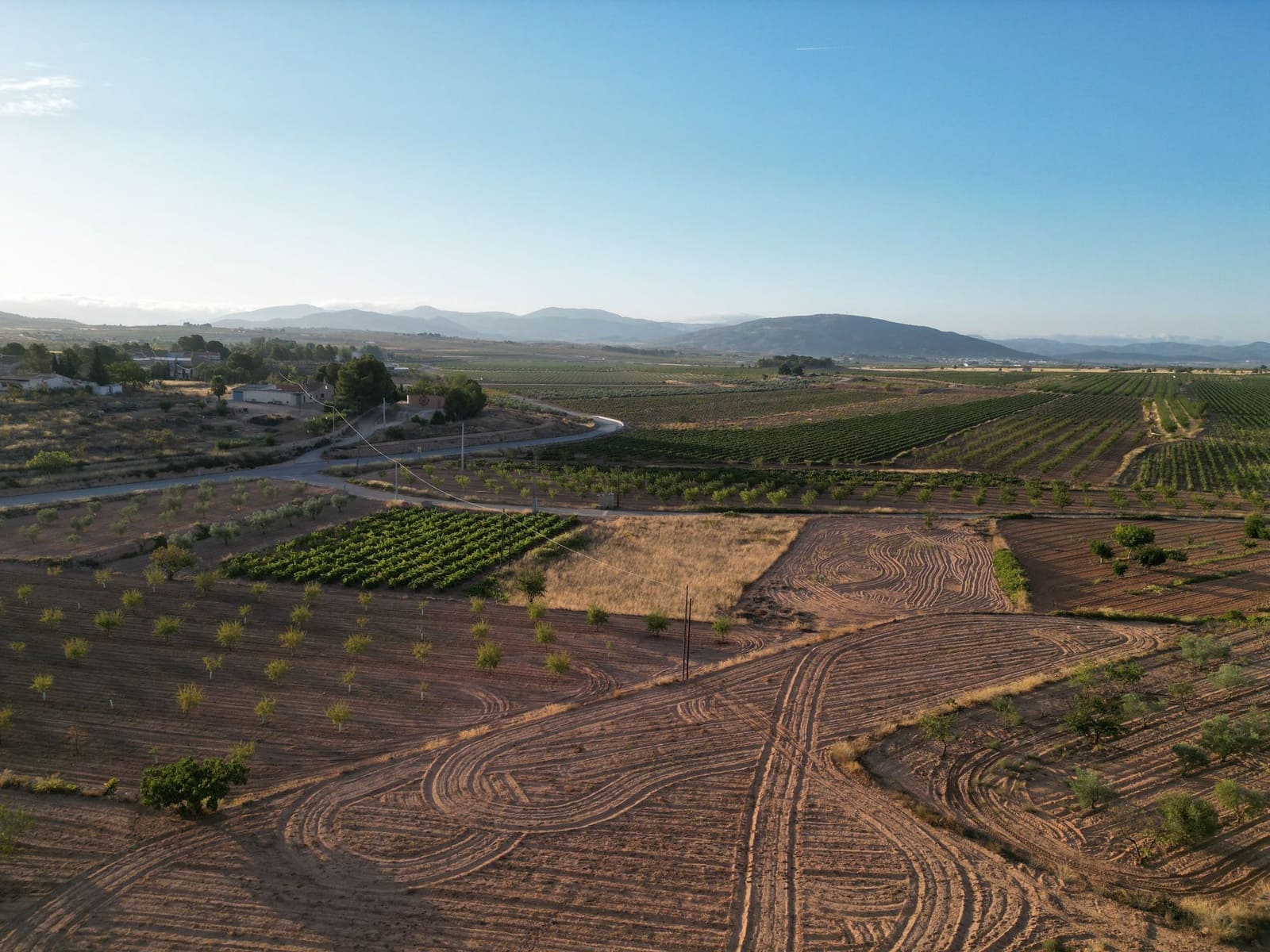 Undeveloped Land for sale in Pinoso - € 49,500 (Ref: 9266586)