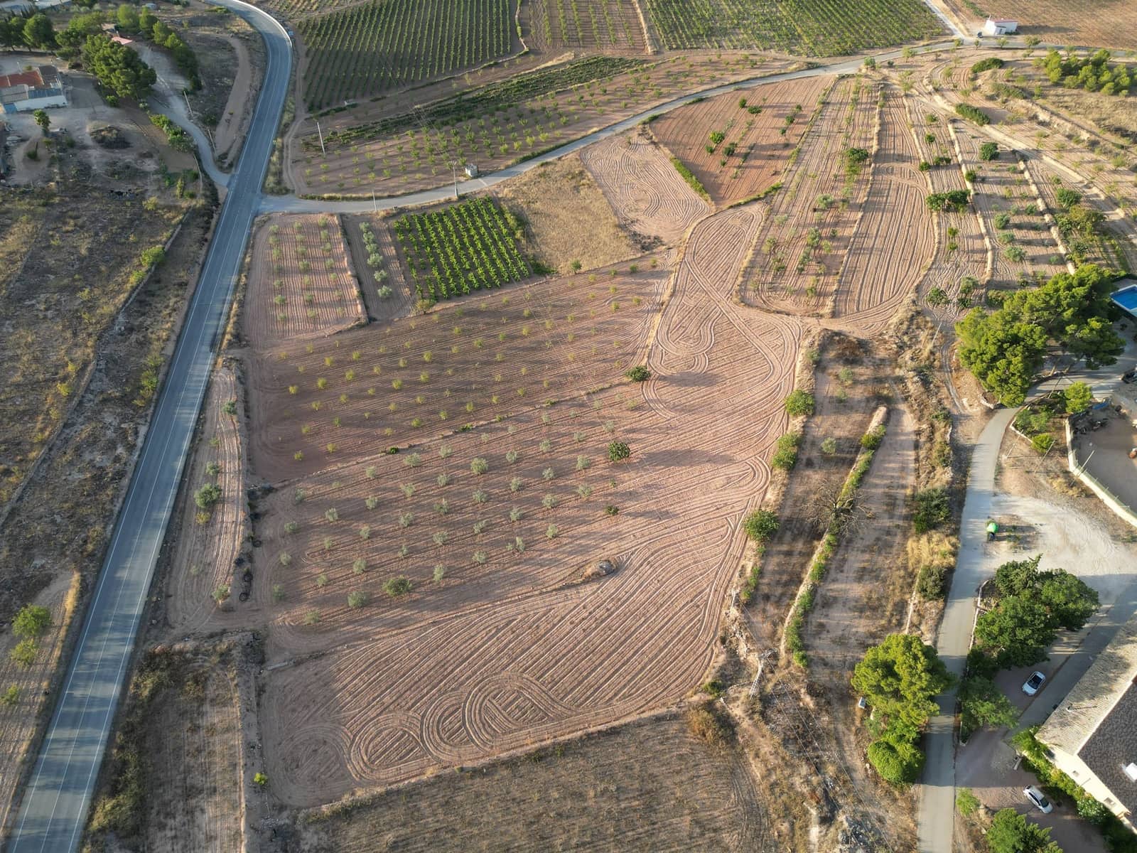 Undeveloped Land for sale in Pinoso - € 49,500 (Ref: 9266586)