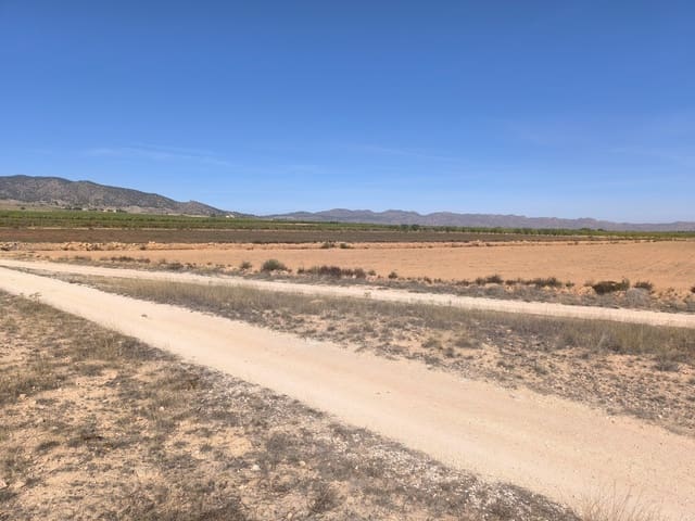 Grond te koop in Pinoso - € 115.000 (Ref: 9285670)