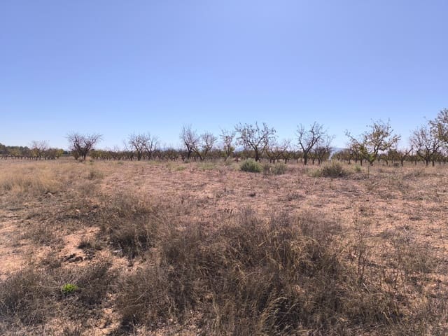 Grond te koop in Pinoso - € 115.000 (Ref: 9285670)