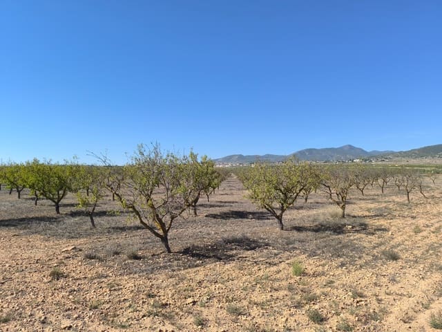 Grond te koop in Pinoso - € 115.000 (Ref: 9285670)