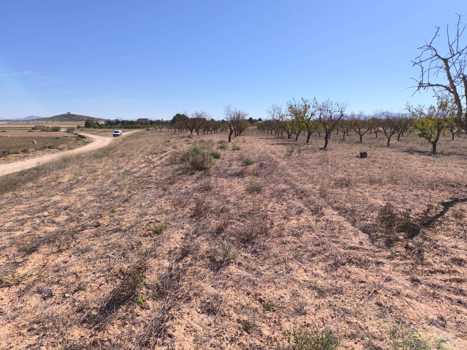 Grond te koop in Pinoso - € 115.000 (Ref: 9285670)