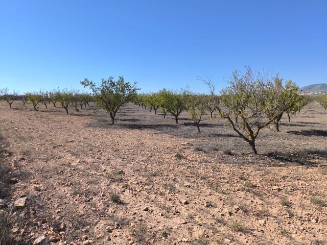 Grond te koop in Pinoso - € 115.000 (Ref: 9285670)