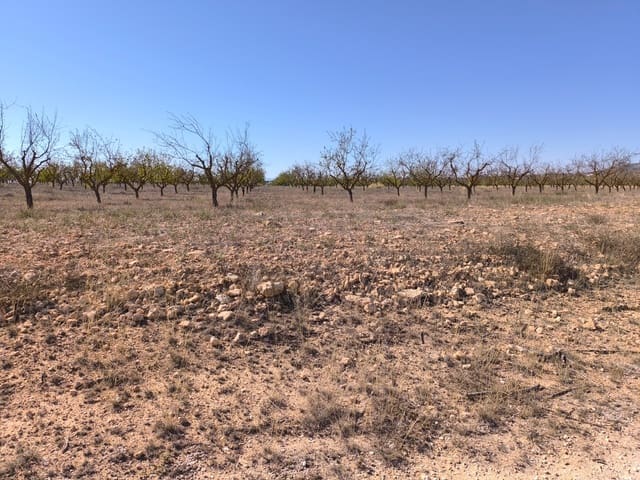 Grond te koop in Pinoso - € 115.000 (Ref: 9285670)