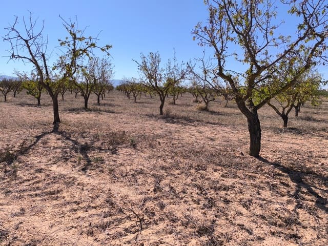 Grond te koop in Pinoso - € 115.000 (Ref: 9285670)