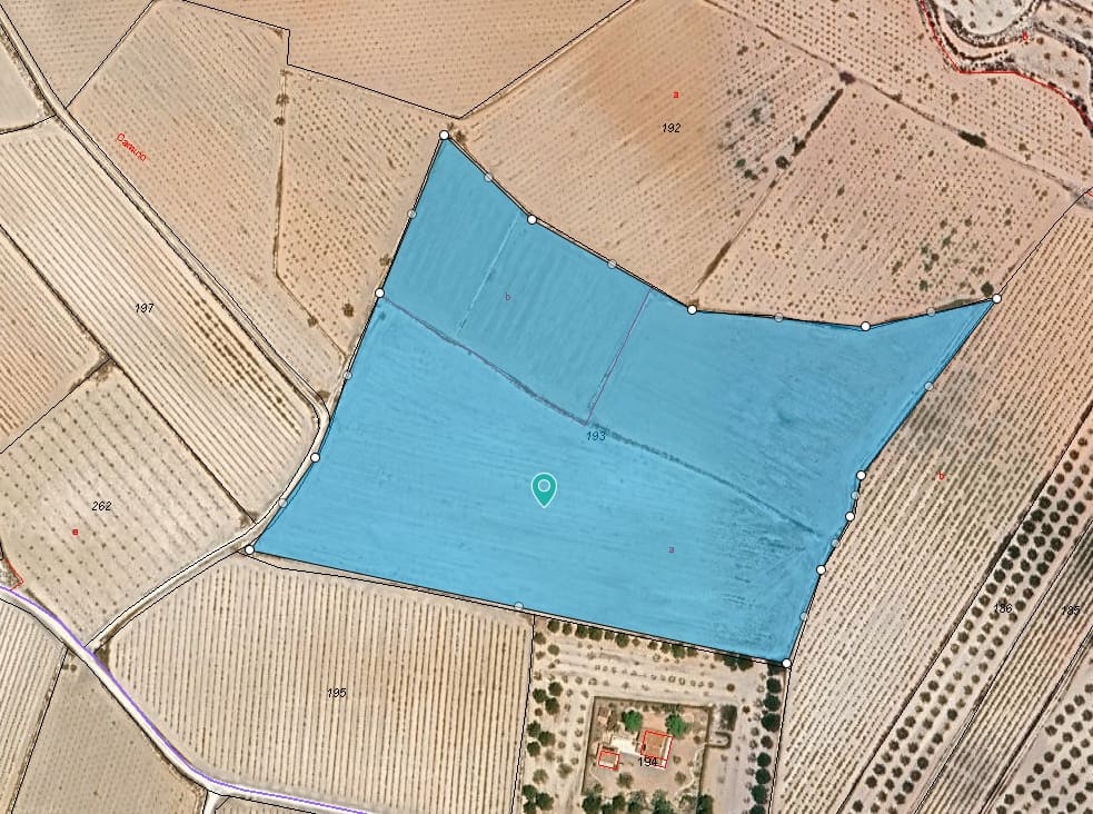 Terre non Aménagée à vendre à Pinoso - 145 000 € (Ref: 9293936)