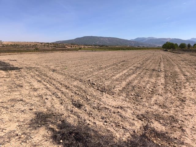 Landgrundstück zu verkaufen in Pinoso - 145.000 € (Ref: 9293936)