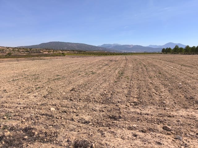 Landgrundstück zu verkaufen in Pinoso - 145.000 € (Ref: 9293936)