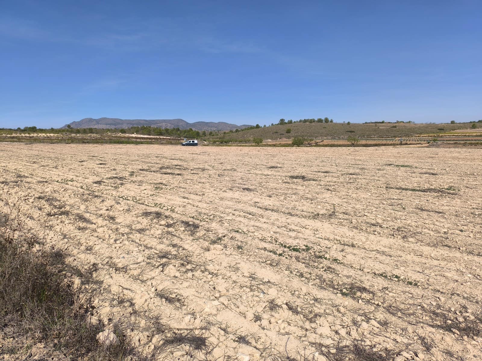 Terre non Aménagée à vendre à Pinoso - 145 000 € (Ref: 9293936)