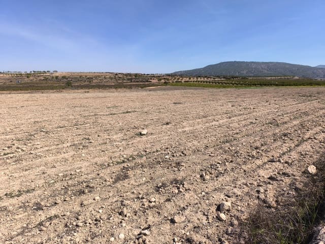 Landgrundstück zu verkaufen in Pinoso - 145.000 € (Ref: 9293936)