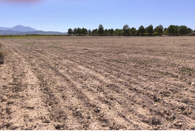 Landgrundstück zu verkaufen in Pinoso - 145.000 € (Ref: 9293936)