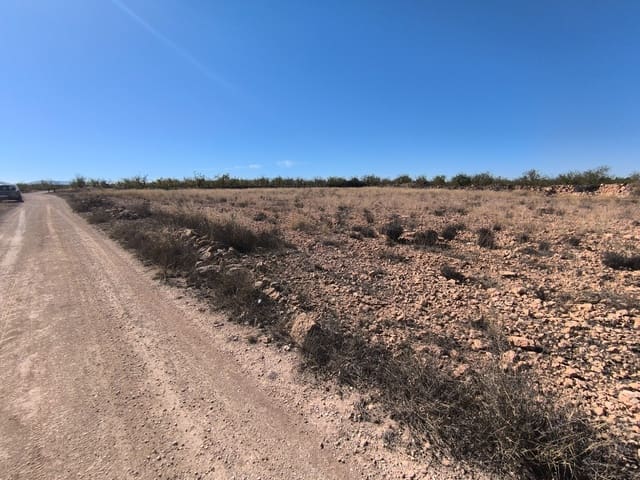 Grond te koop in Pinoso - € 44.000 (Ref: 9293937)