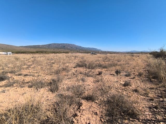 Grond te koop in Pinoso - € 44.000 (Ref: 9293937)