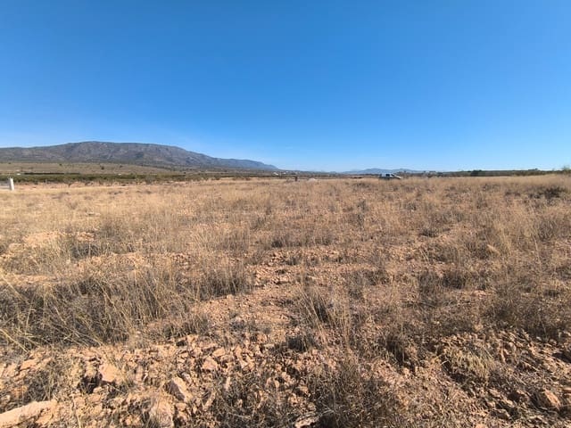 Grond te koop in Pinoso - € 44.000 (Ref: 9293937)