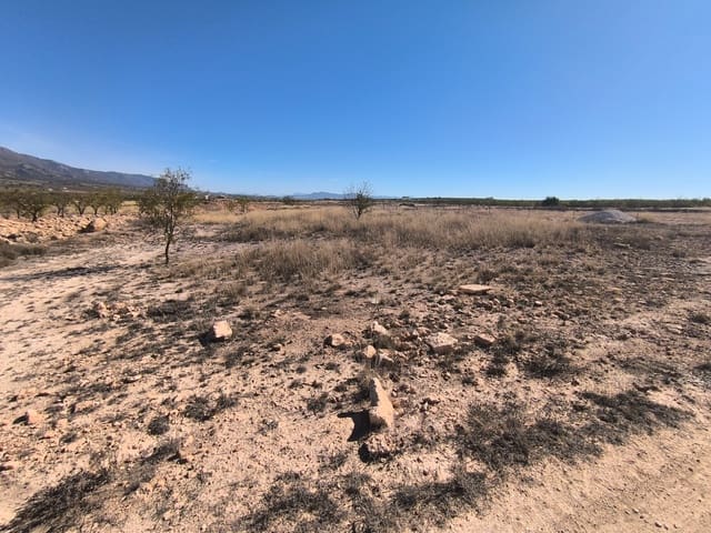 Grond te koop in Pinoso - € 44.000 (Ref: 9293937)