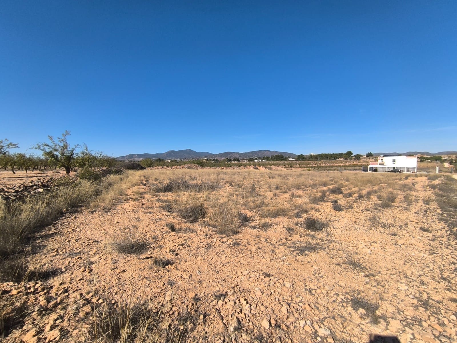 Grond te koop in Pinoso - € 44.000 (Ref: 9293937)