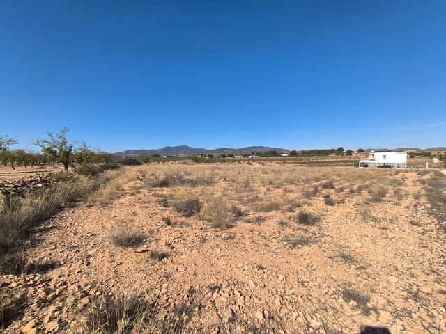 Grond te koop in Pinoso - € 44.000 (Ref: 9293937)