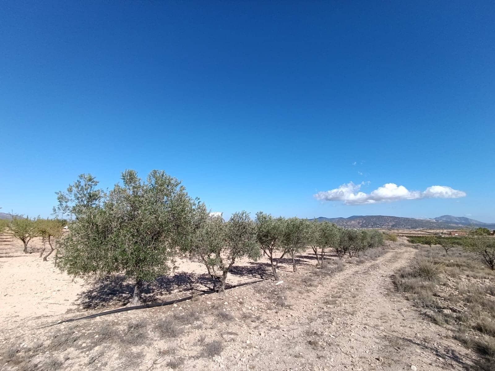 3 soveværelse Finca/Landehus til salg i Jumilla - € 135.995 (Ref: 9296536)