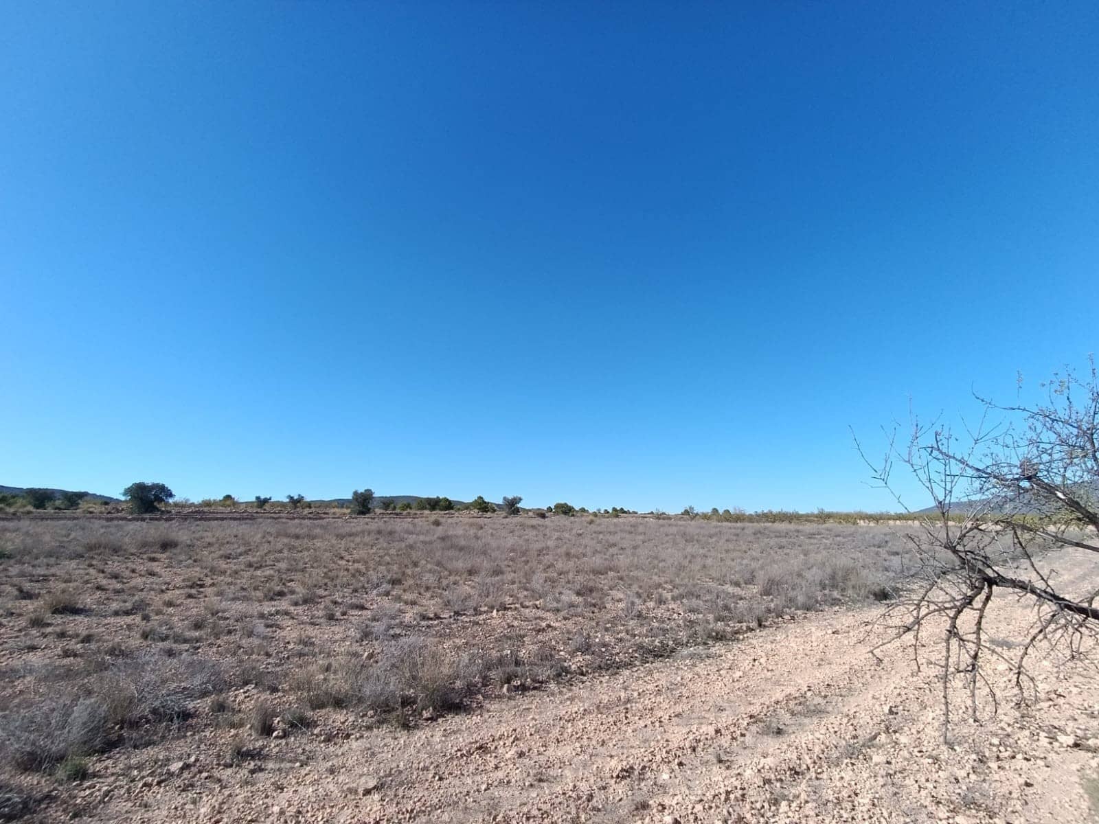 3 soveværelse Finca/Landehus til salg i Jumilla - € 135.995 (Ref: 9296536)