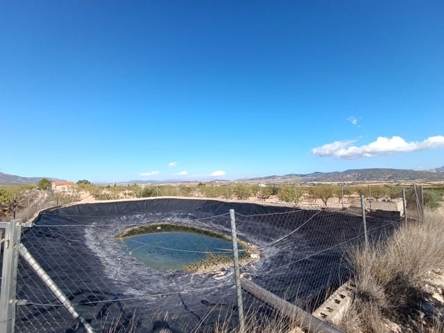 3 soveværelse Finca/Landehus til salg i Jumilla - € 135.995 (Ref: 9296536)